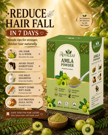 Royaleaf Natural Amla Powder For Soft & Shiny Hair Indian Gooseberry Powder for Hair growth & Hair Care Strengthening Nourish Conditioner & Cleanser (100G)