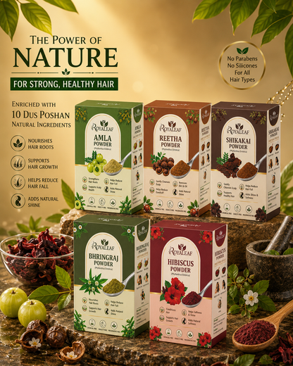 Royaleaf Amla Reetha Shikakai Bhringraj Hibiscus Powder for Hair Growth, Anti Hair Fall, Dandruff Control & Healthy Shiny Hair 500g | 100% Natural Ayurvedic Hair Care Combo Pack 100G Each, 5 Count