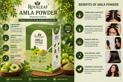 Royaleaf Natural Amla Powder For Soft & Shiny Hair Indian Gooseberry Powder for Hair growth & Hair Care Strengthening Nourish Conditioner & Cleanser (100G)